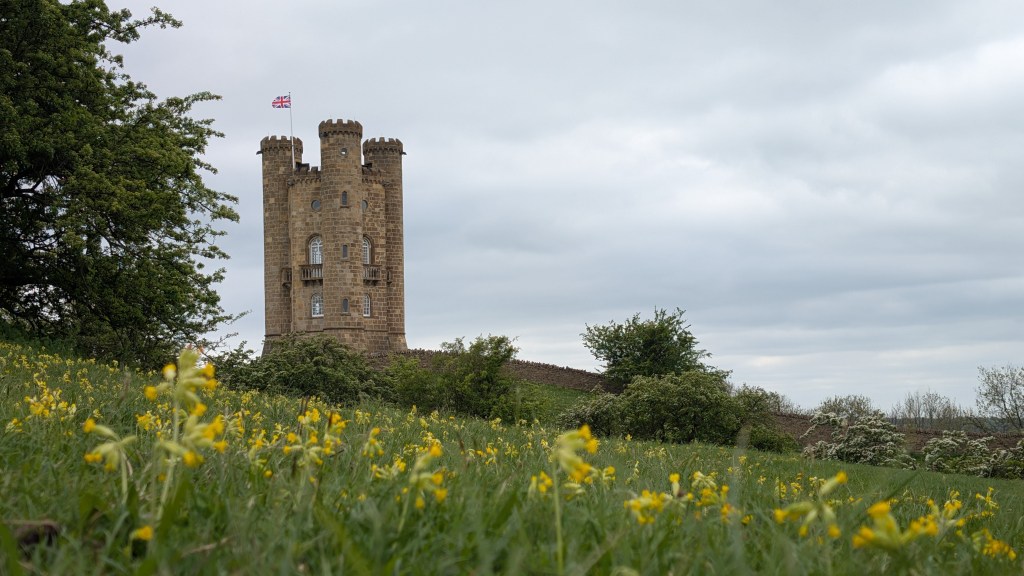 What’s Flowering? Early May 2025 (18,&nbsp;19)