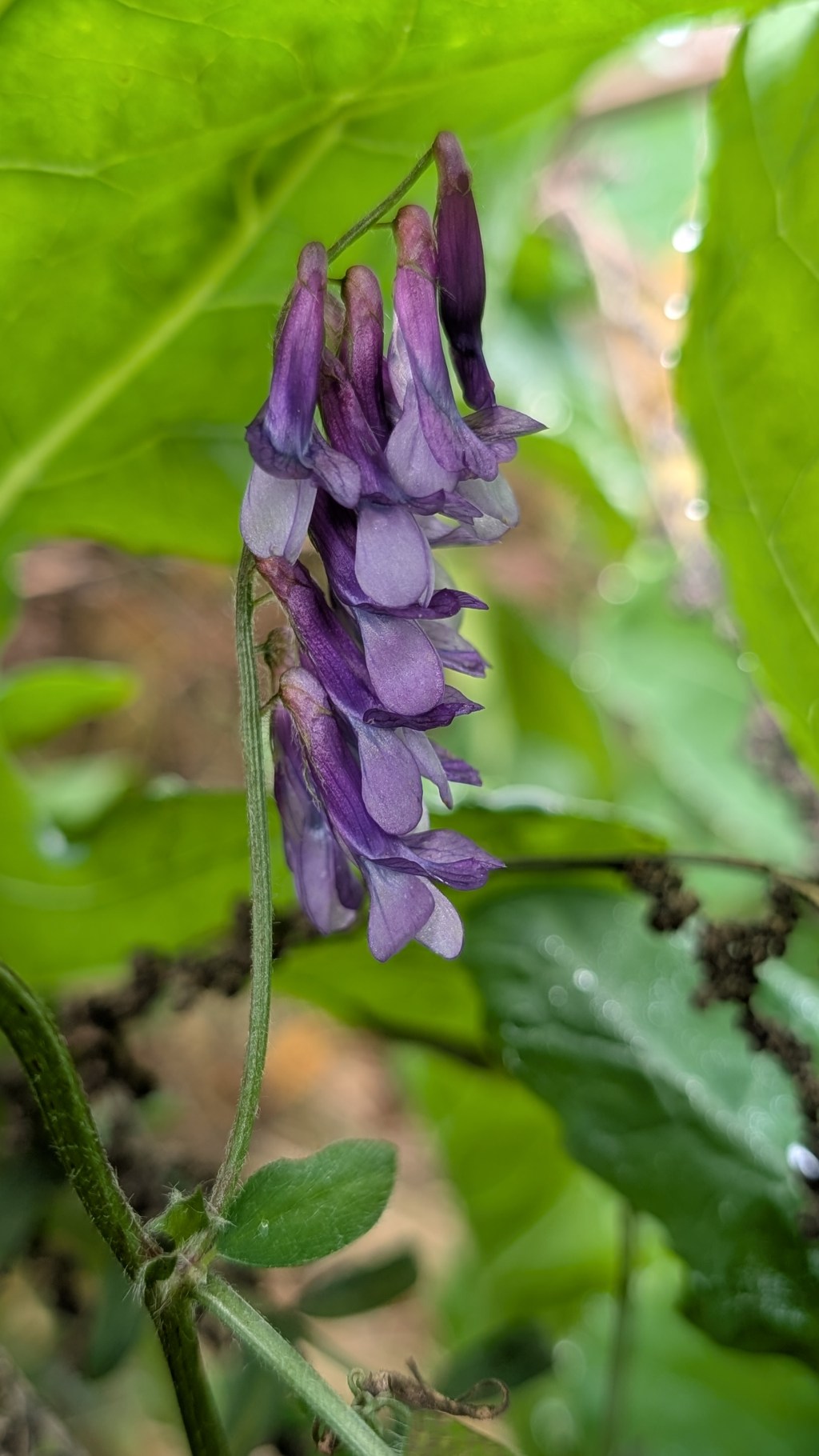 Arable Finds in&nbsp;Leigh