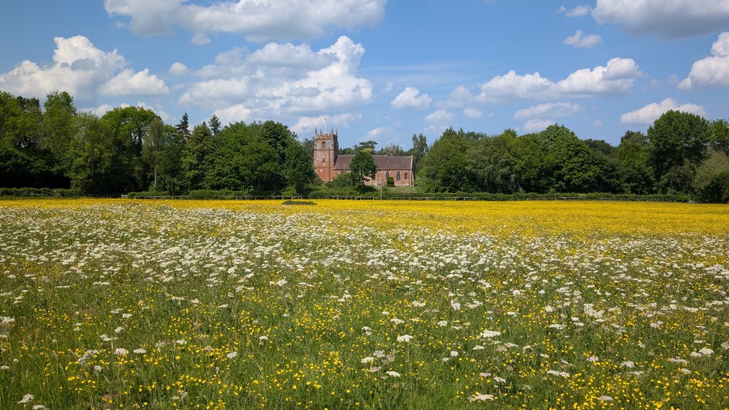 79 Lane-side Plants to Look for this Spring (Hopehouse Lane,&nbsp;2025)