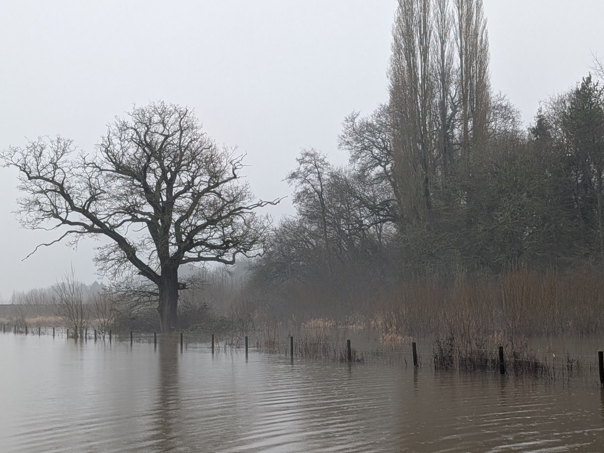 This Week in Photos: 12th-18th January&nbsp;(3)