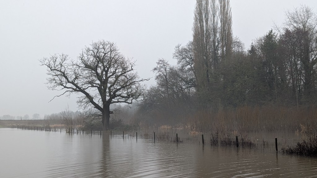 This Week in Photos: 12th-18th January&nbsp;(3)