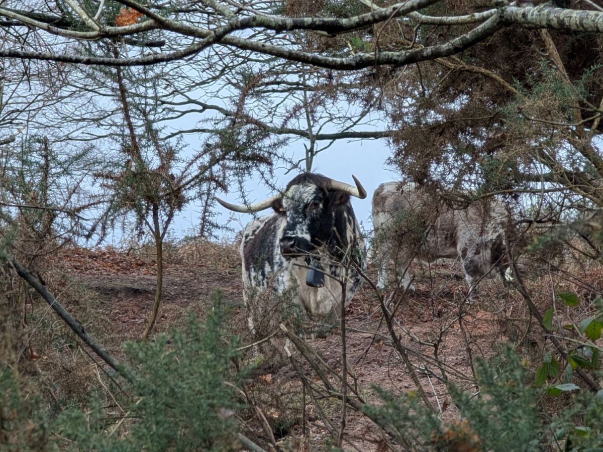 This Week in Photos: 19th-25th January&nbsp;(4)