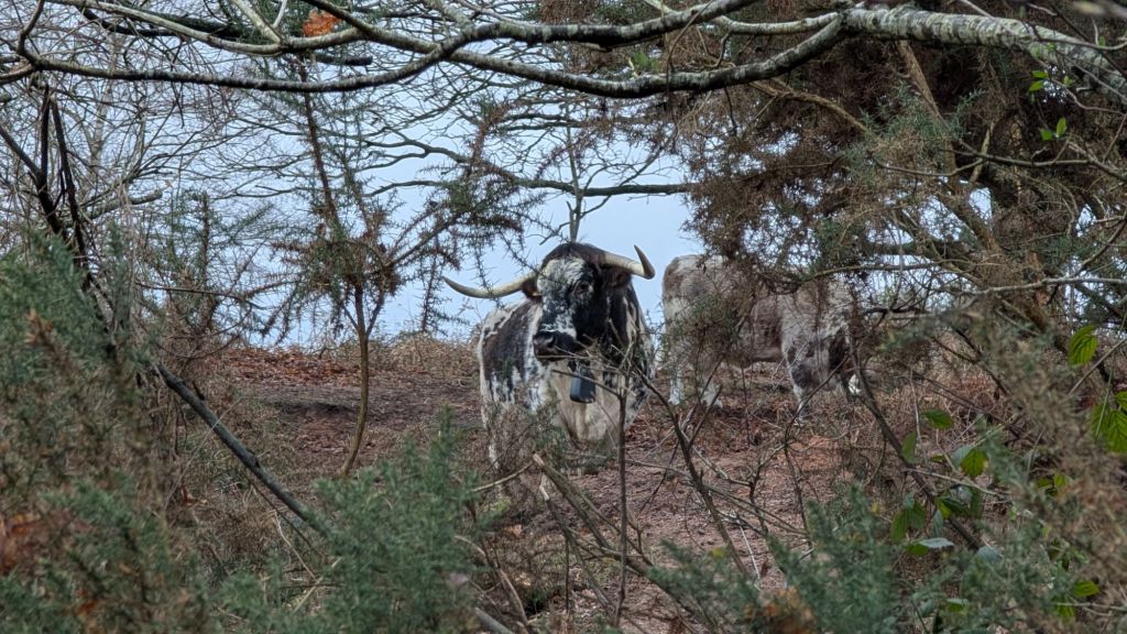 This Week in Photos: 19th-25th January&nbsp;(4)