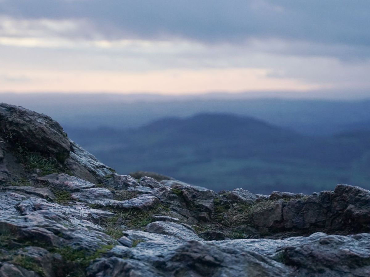 This Week in Photos: 26th January – 1st February&nbsp;(5)