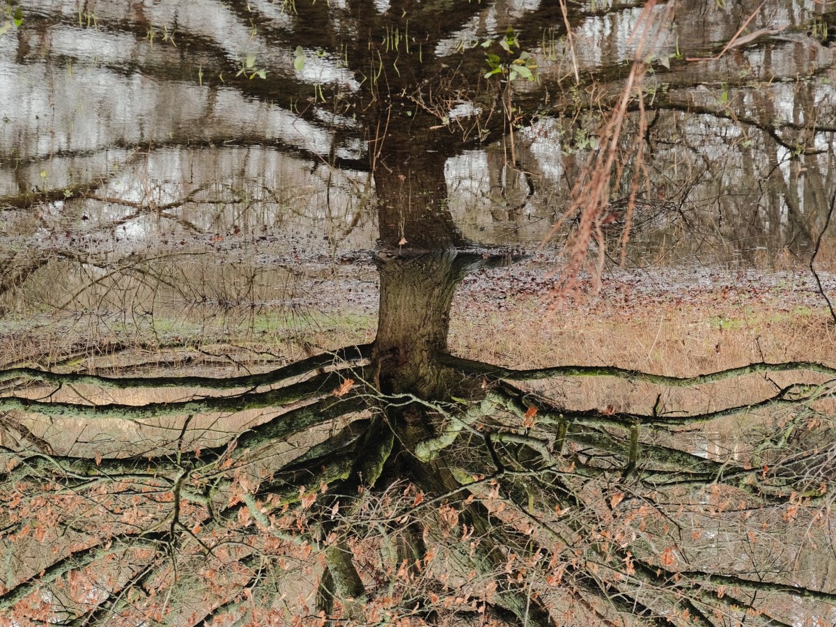 This Week in Photos: 2nd – 8th of February&nbsp;(6)