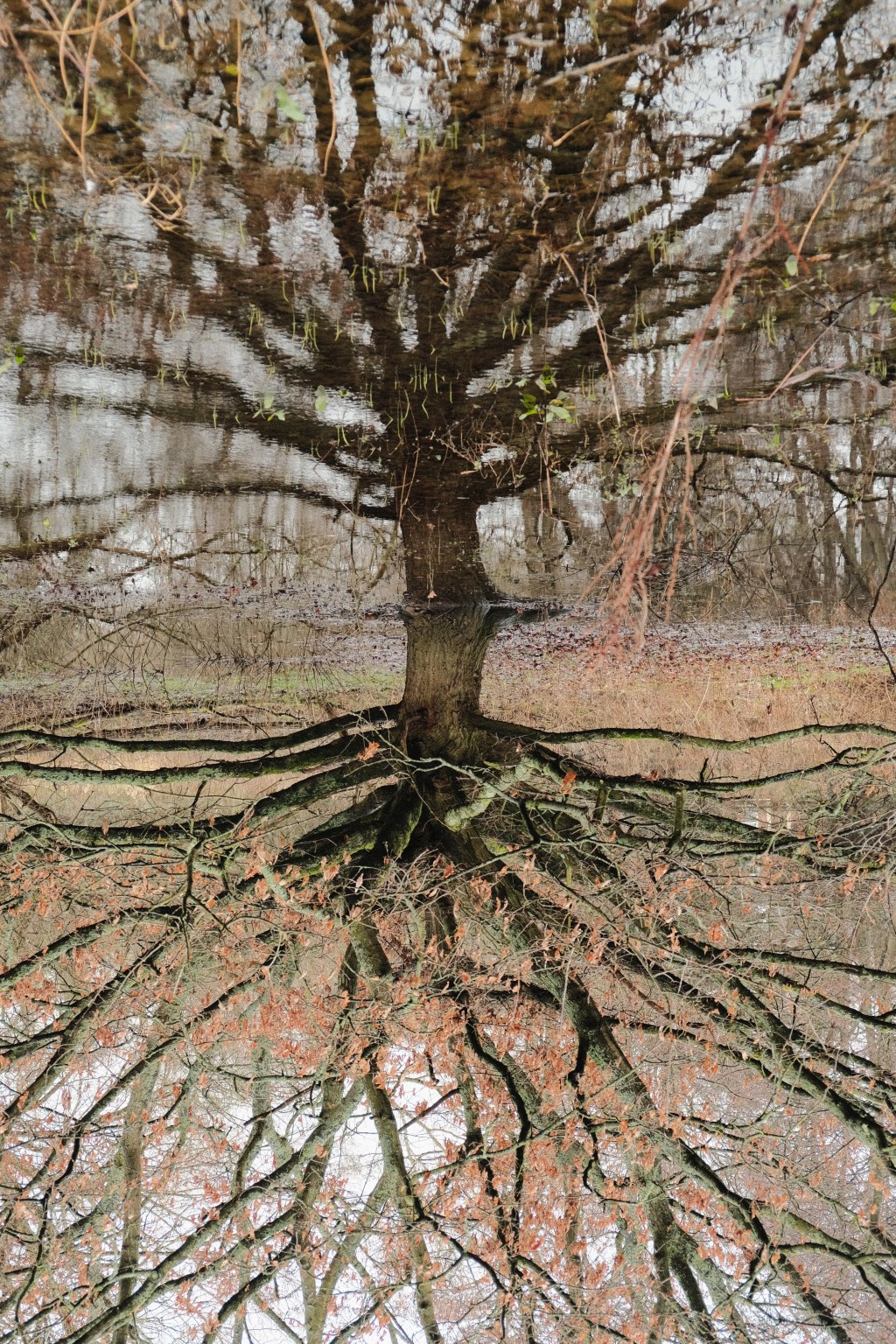 This Week in Photos: 2nd – 8th of February&nbsp;(6)