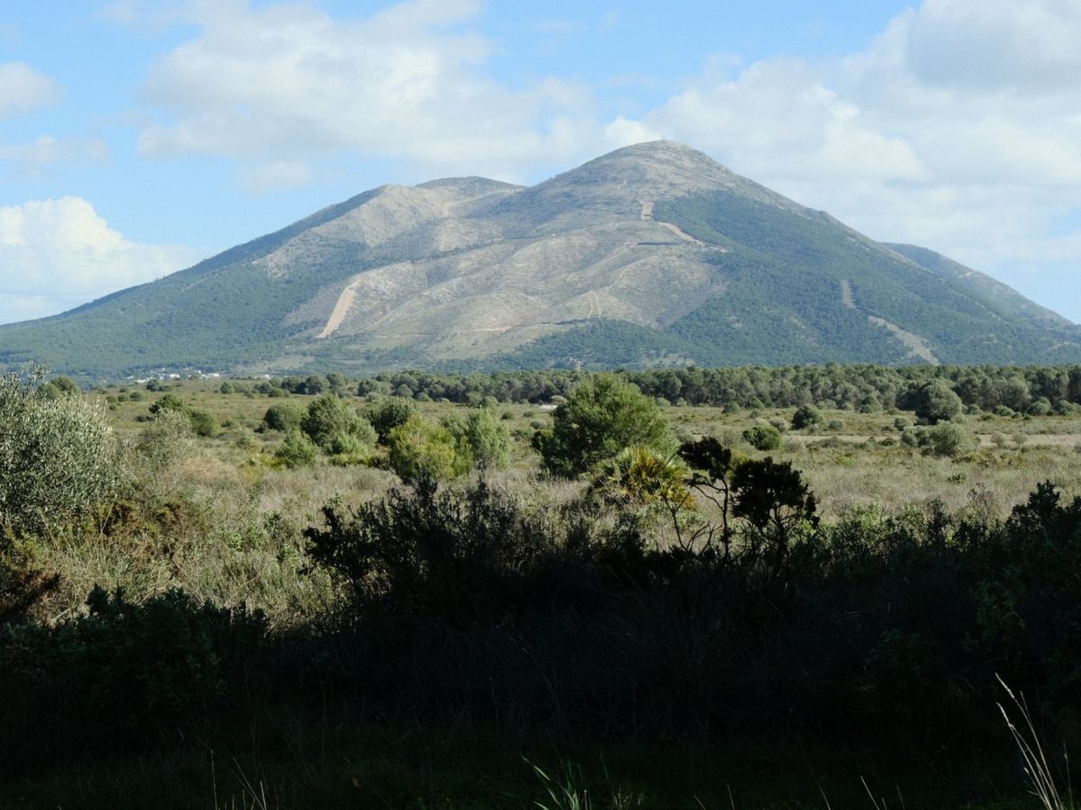 This Week in Photos: 9th – 15th of February – Spanish Edition&nbsp;(7)