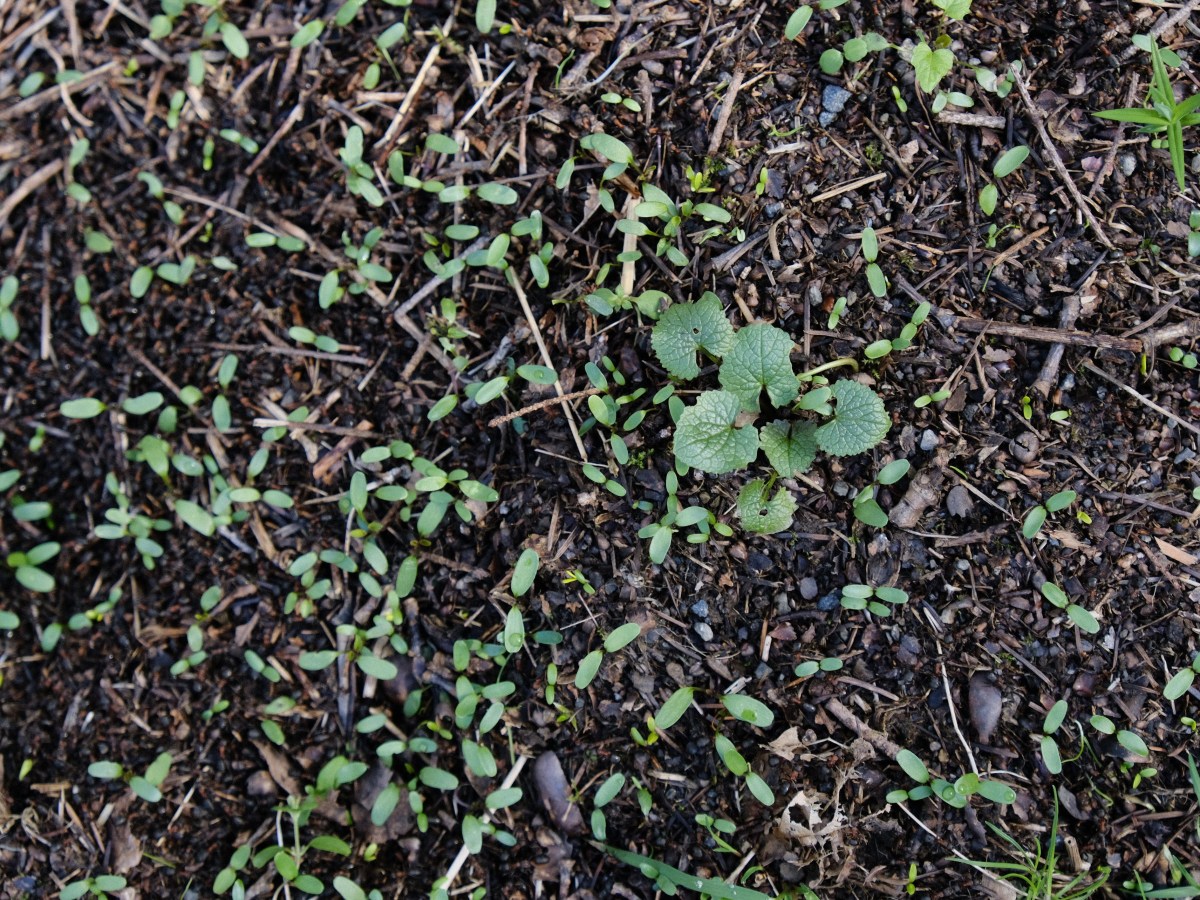 This Week in Photos: 16th – 22nd of February&nbsp;(8)