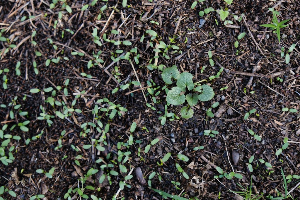 This Week in Photos: 16th – 22nd of February&nbsp;(8)