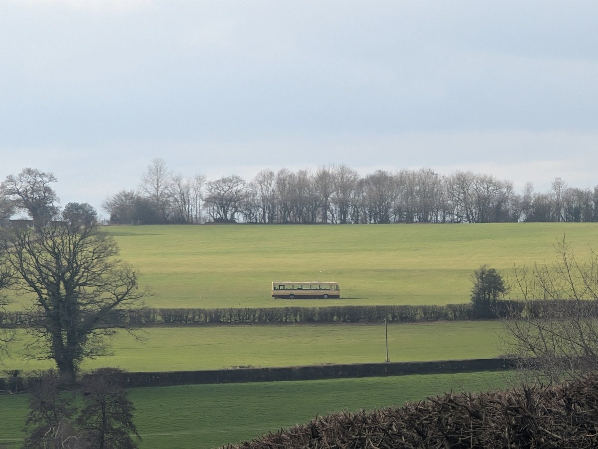 This Week in Photos: 23rd February – 1st March&nbsp;(9)