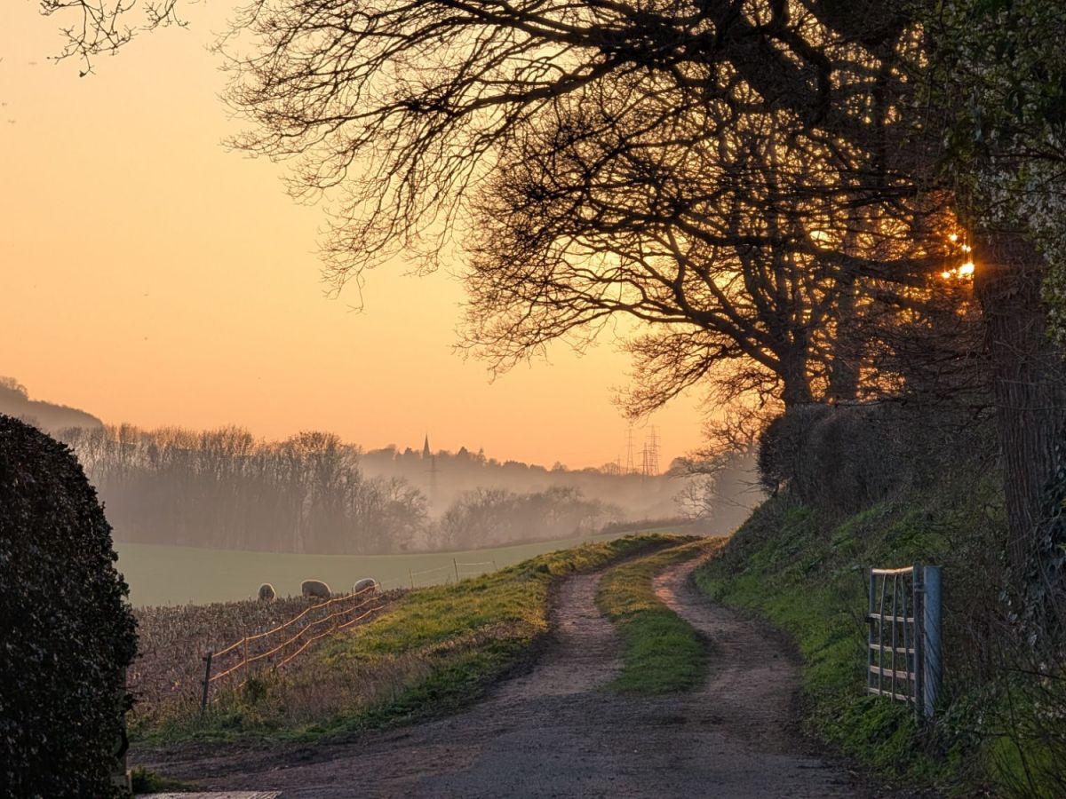 This Week in Photos: 1st-7th of March&nbsp;(10)