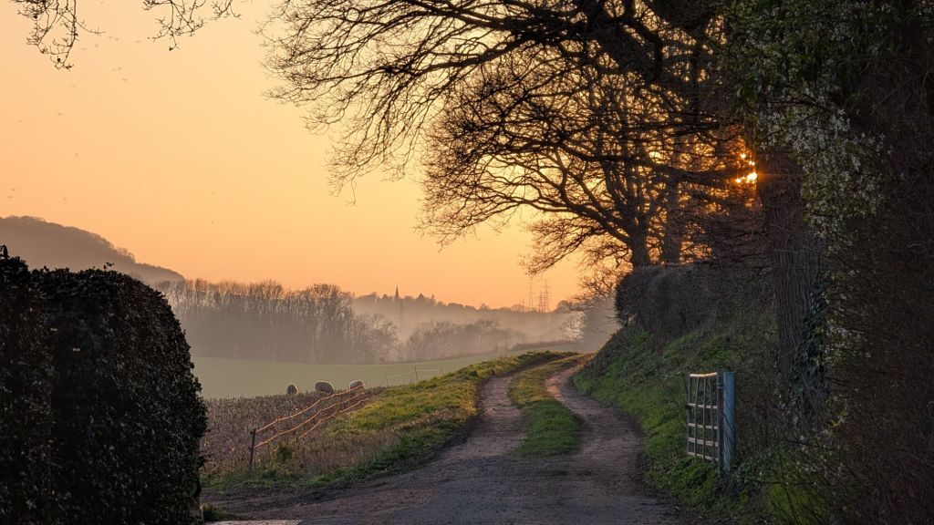 This Week in Photos: 1st-7th of March&nbsp;(10)