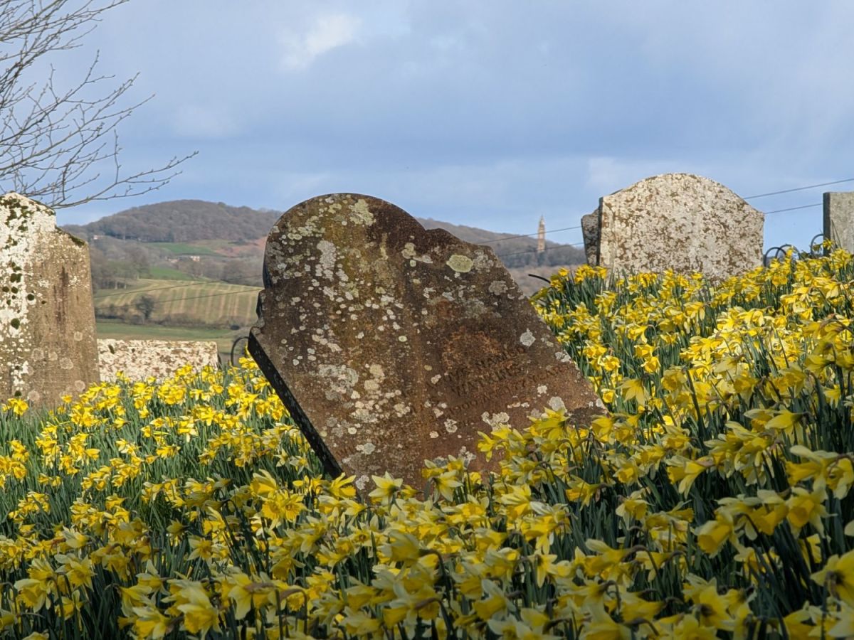 This Week in Photos: 9th-15th of March&nbsp;(11)