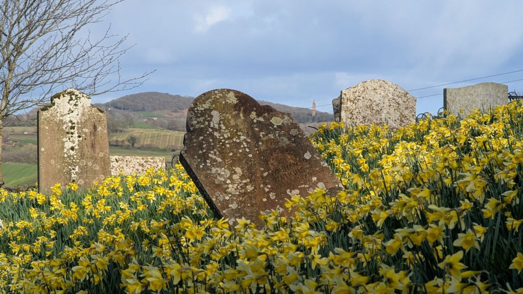 This Week in Photos: 9th-15th of March&nbsp;(11)