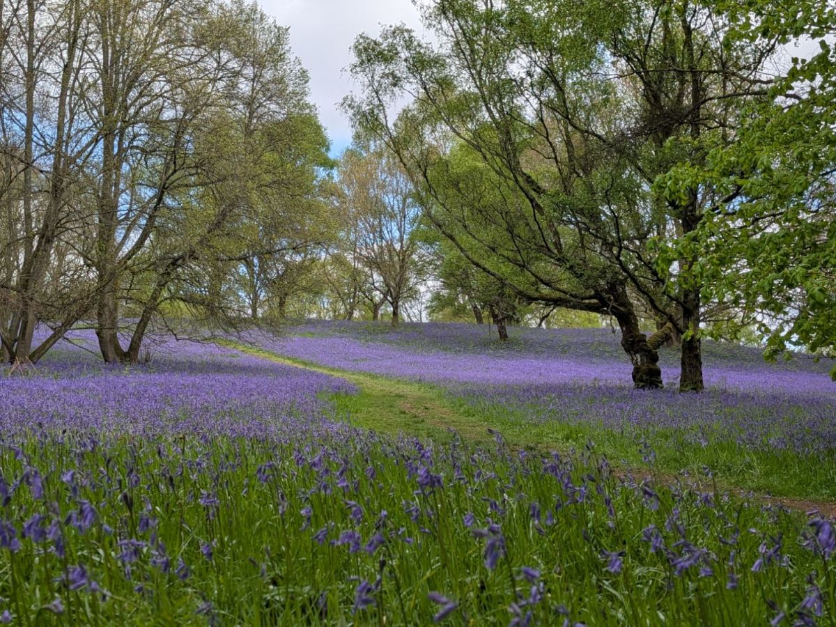 This Week in Photos: 13th – 19th April&nbsp;(16)