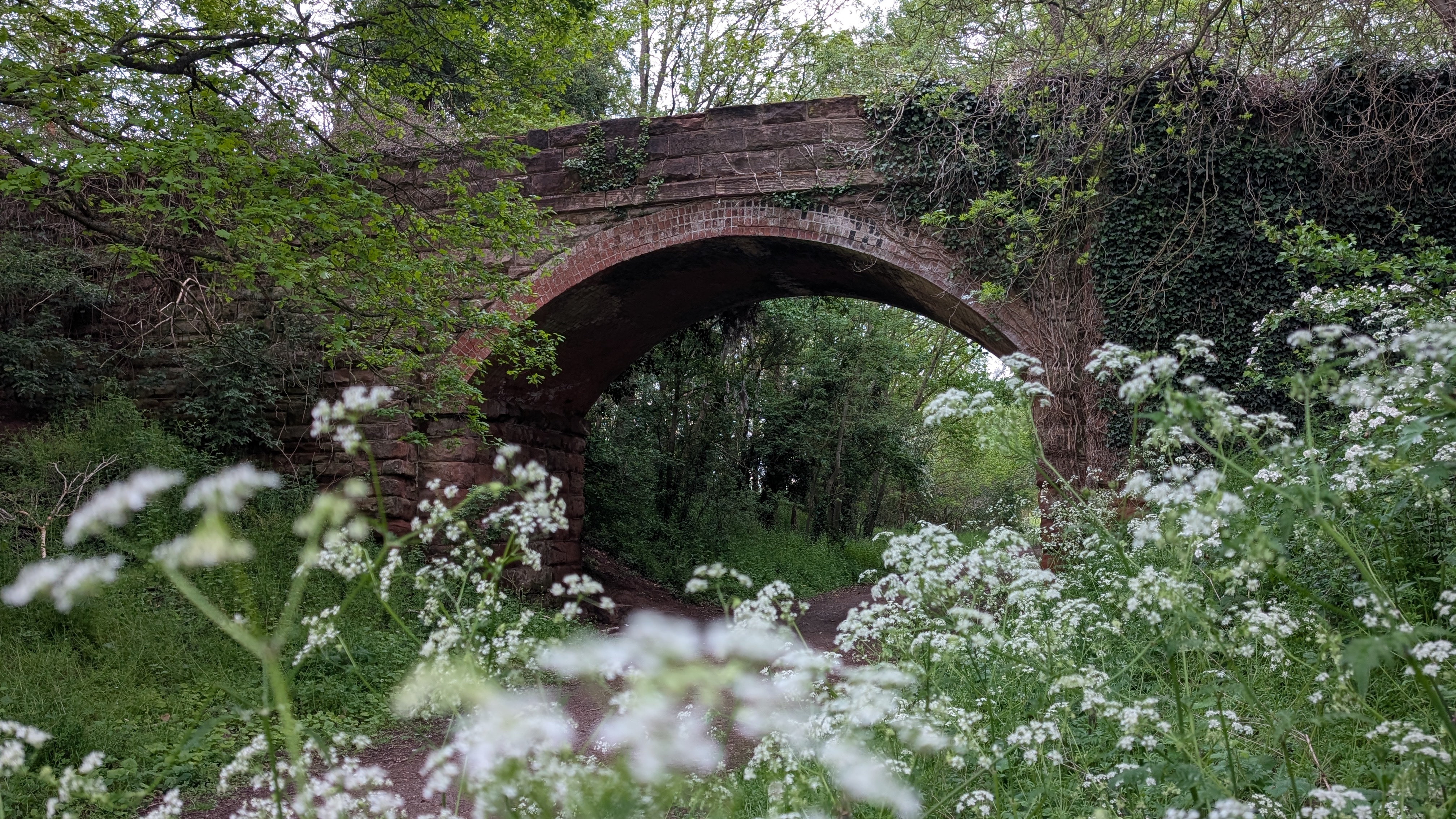 This Week in Photos: May 4th – 10th (19)
