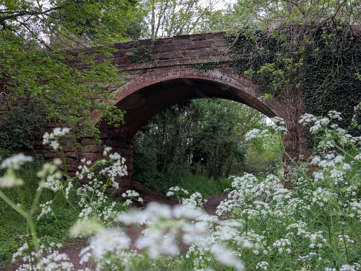 This Week in Photos: May 4th – 10th&nbsp;(19)